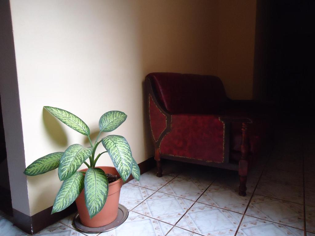 Hosteria Mola Hotel Puerto Iguazu Bagian luar foto